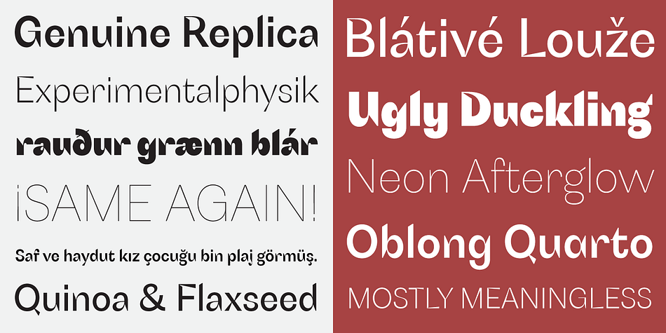 In a world where everyone and their dog has their own grotesk offering, perhaps being interesting and that little bit different is in itself enough to give the face its utility.