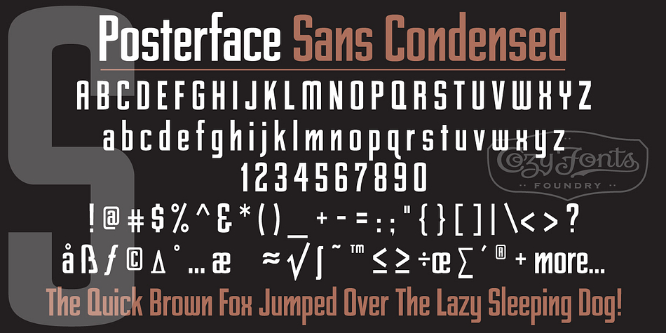 Posterface is a display, slab serif and display sans font family.
