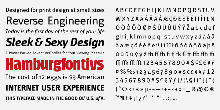 Displaying the beauty and characteristics of the Mr Jones font family.