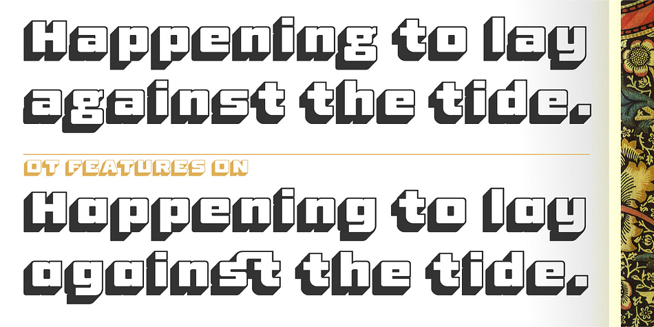 Standard Shaded Sans and Standard Shaded Slab are designed by Lee Schulz.