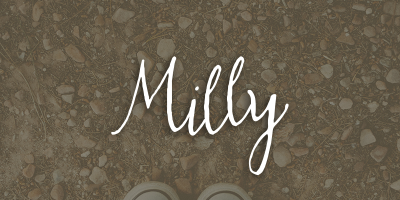 Displaying the beauty and characteristics of the Milly font family.