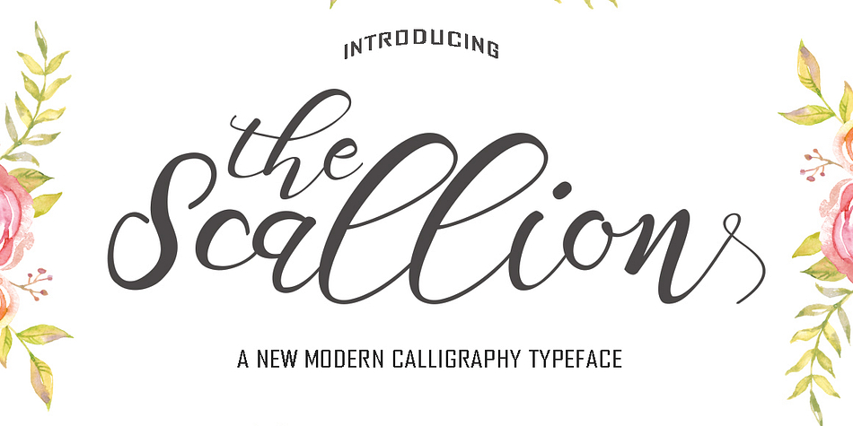 Scallion is a modern calligraphy font.