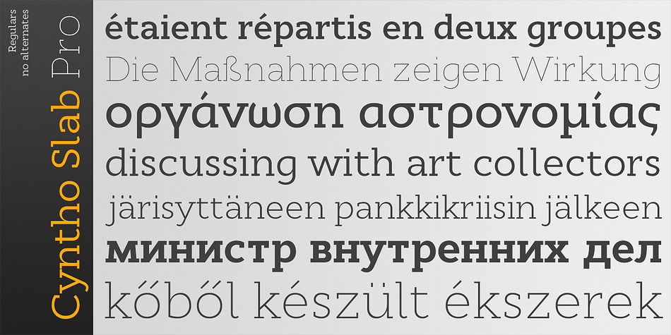 It is a modern geometric slab serif with extensive language support including Cyrillic and Greek scripts, rich with OpenType features, perfect for magazines, posters, advertising, corporate identity, and much more.