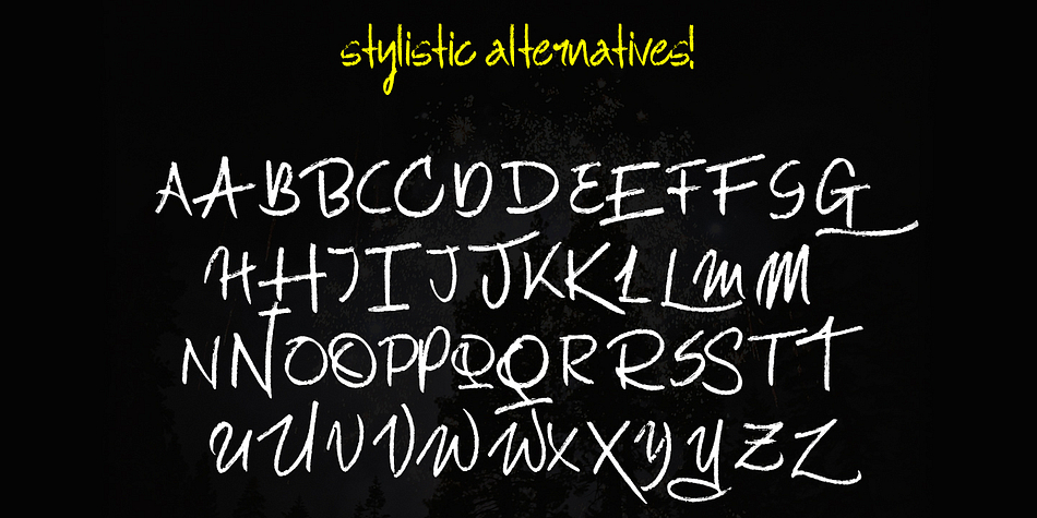 All of the uppercase letters have awesome Opentype Stylistic Alternatives that bring even more versatility to the table.