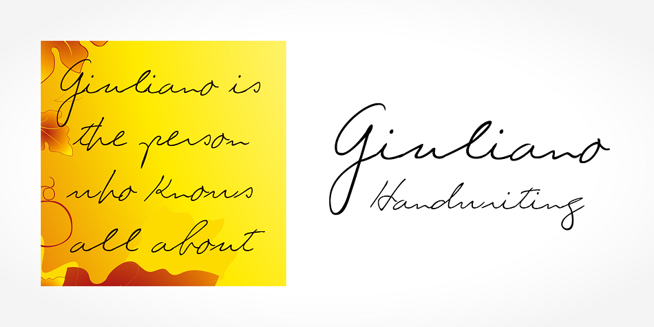 Digitized handwriting fonts are a perfect way to give documents the “very special touch”.