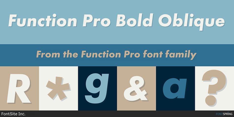Function Pro Bold Oblique Font