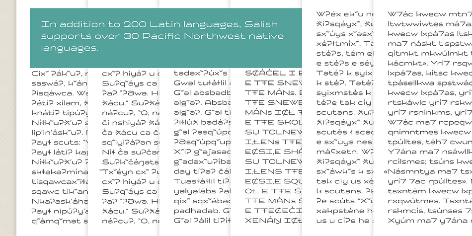 Salish font family sample image.