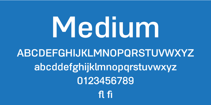 Among other uses, Grammatica is recommended for Newspaper, Magazine, Book, Web and Corporate use.