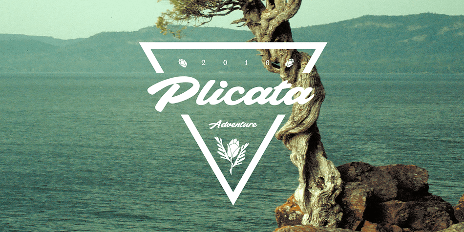 Plicata is a hand crafted typeface.