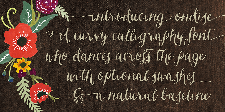 This Opentype font was created with a pointed pen & ink, and includes six different ampersands as well as a swash feature that automatically substitutes beginning & end of word letters.