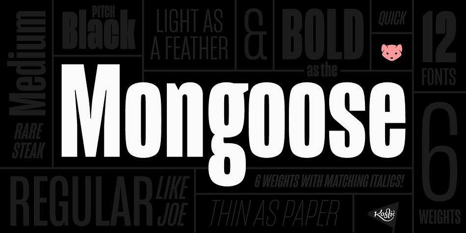 Mongoose is a condensed sans serif, made for posters, headlines and logotypes.