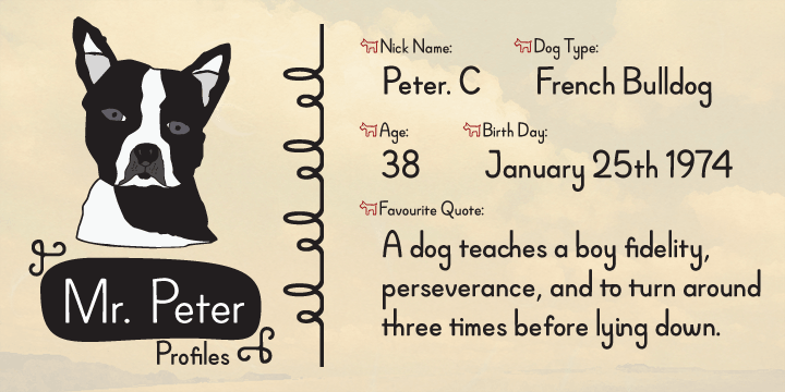 Mrs. Peter is a handwritten script font based on Mr Peter.
