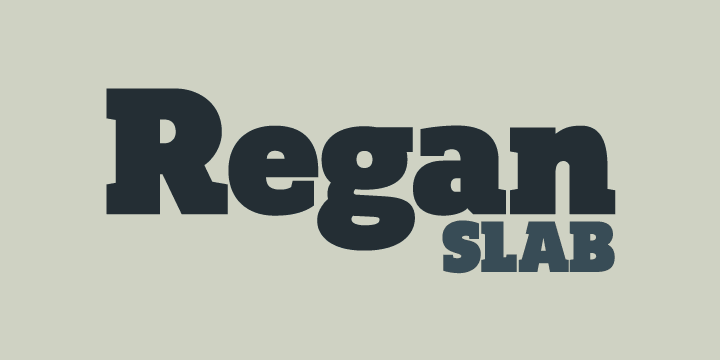 A precision cut slab serif typeface.