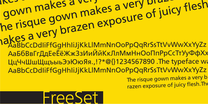 Frutiger font was originally designed for use on signs at the new Charles de Gaulle Airport at Roissy.