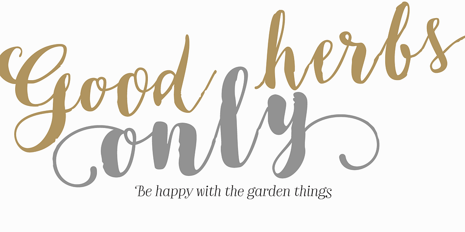 Emphasizing the favorited Bach font family.