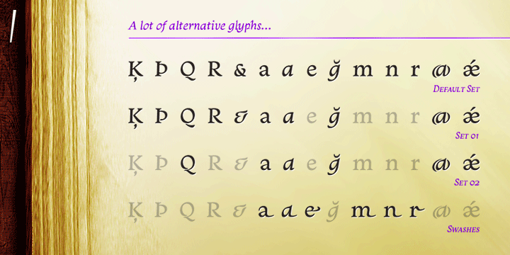 The fonts are available in OpenType PS format and have extended character set to support CE, Baltic, Turkish as well as Western European languages.