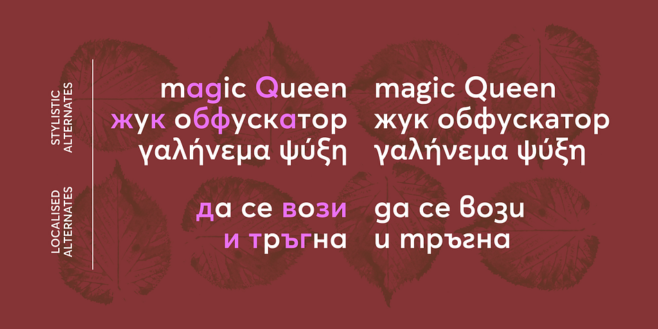 Designed by Kostas Bartsokas to remind us of clear geometric shapes in monolinear strokes, Averta firmly rests in the tradition of constructed grotesques from the first half of the twentieth century in Central Europe.