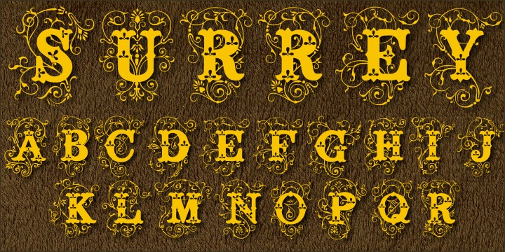 Surrey is a collection of seven different decorative fonts, all uppercase letter designs, great display face for headers and antique-like projects.