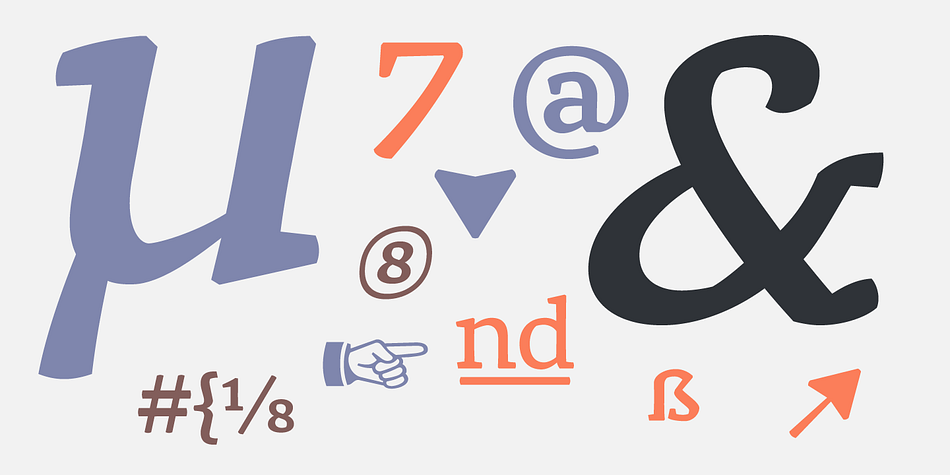 Displaying the beauty and characteristics of the Rival font family.