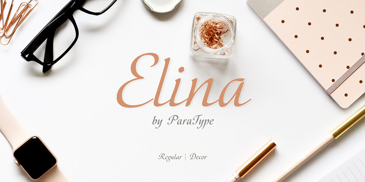 Elina font family by ParaType
