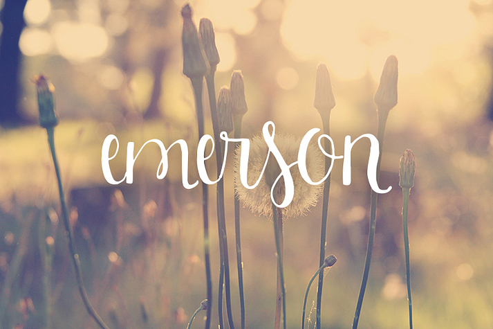 Displaying the beauty and characteristics of the Emerson font family.