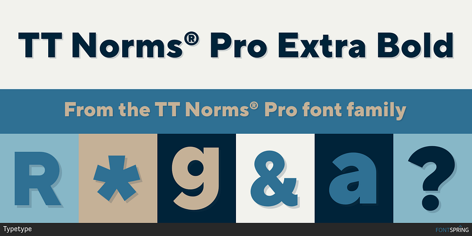 TT Norms® Pro Extra Bold Font