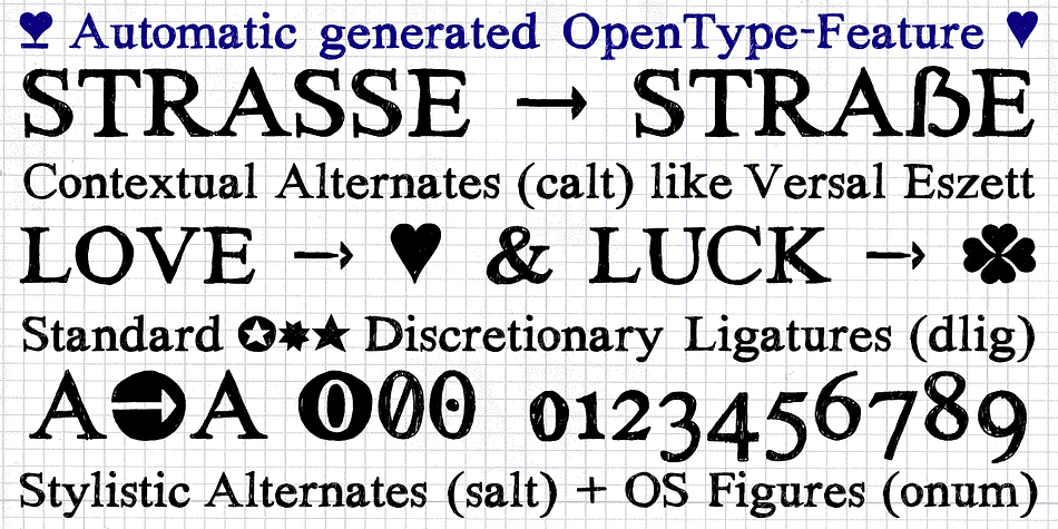 How To Use – awe­some magic OpenType-Features in your lay­out application
■ In Adobe Pho­to­shop and Adobe InDe­sign, font fea­ture con­trols are wit­hin the Cha­rac­ter panel sub-menu → Open­Type → Dis­cre­tio­nary Liga­tures …
Che­cked fea­tures are applied/on.