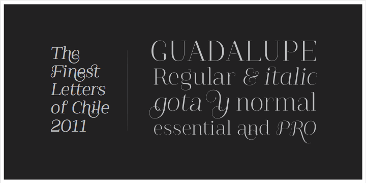 Guadalupe –from the family of classic Didots– is a high performance font with a great set of alternates & swashes and carefully refined details.