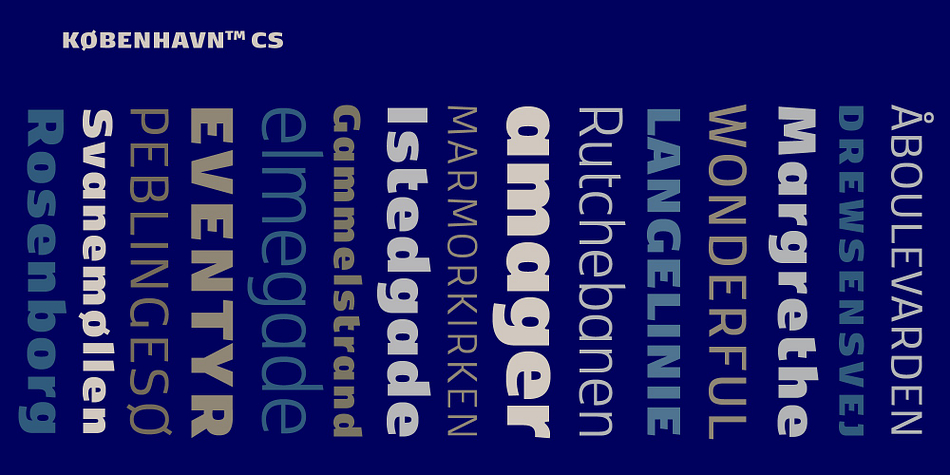 Displaying the beauty and characteristics of the FP København CS font family.