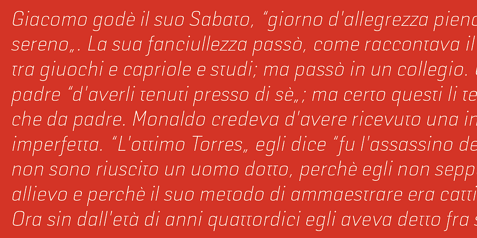 Displaying the beauty and characteristics of the Selektor font family.