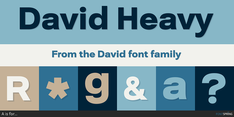 David Heavy Font