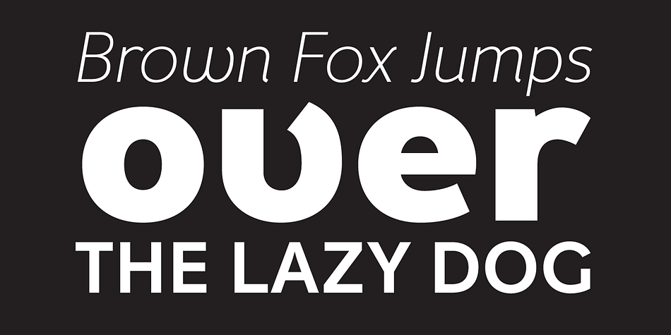Highlighting the Fox Grotesque Pro font family.