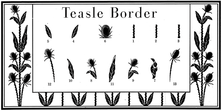 Displaying the beauty and characteristics of the Thistle Borders font family.