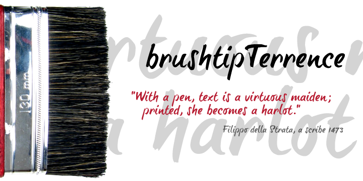 Displaying the beauty and characteristics of the brush-tip Terrence font family.