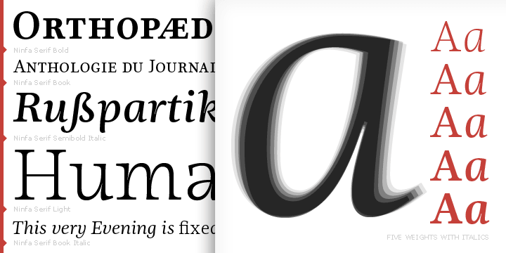 Emphasizing the favorited Ninfa Serif font family.