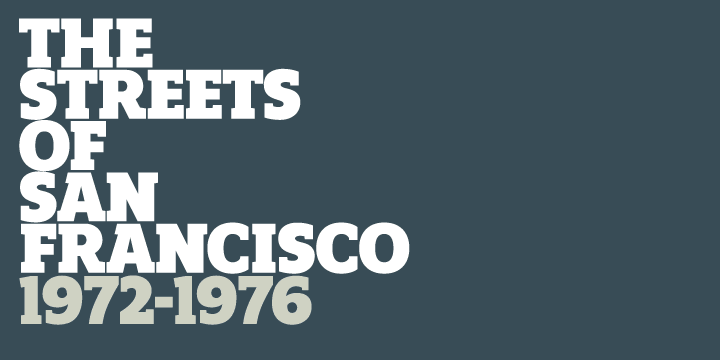 Details include 10 weights with italics, 540 characters, 5 variations of numerals, small caps, stylistic alternatives, manually edited kerning and Opentype features.