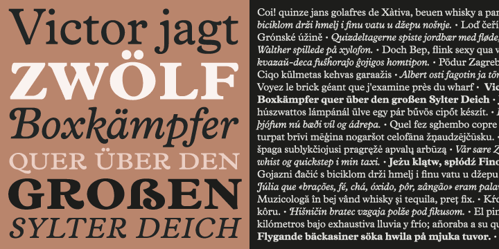 The regular and bold weights both include small caps, and the italic features swash capitals for most letters.