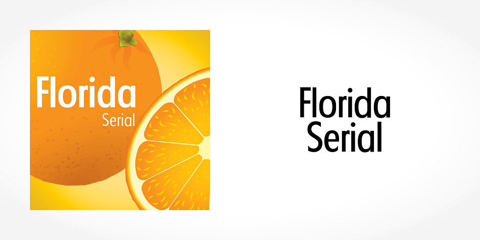 Displaying the beauty and characteristics of the Florida Serial font family.
