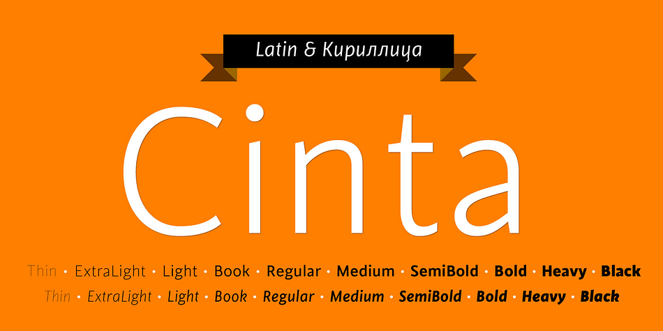 Displaying the beauty and characteristics of the Cinta font family.