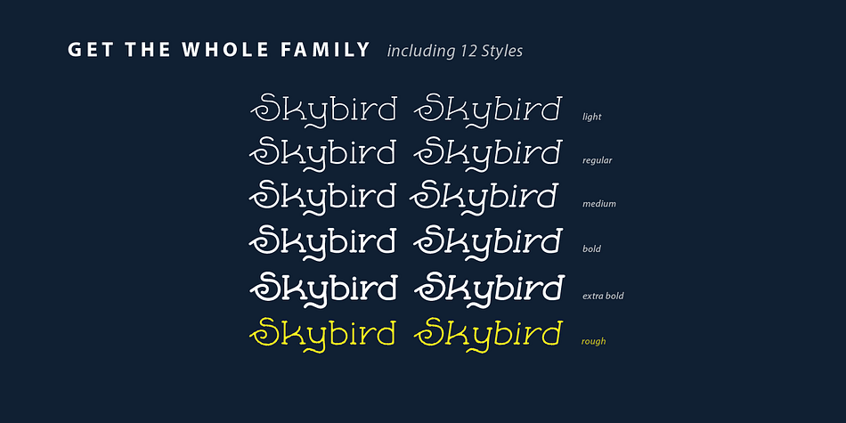Its unique glyph designs make it a special retro font.