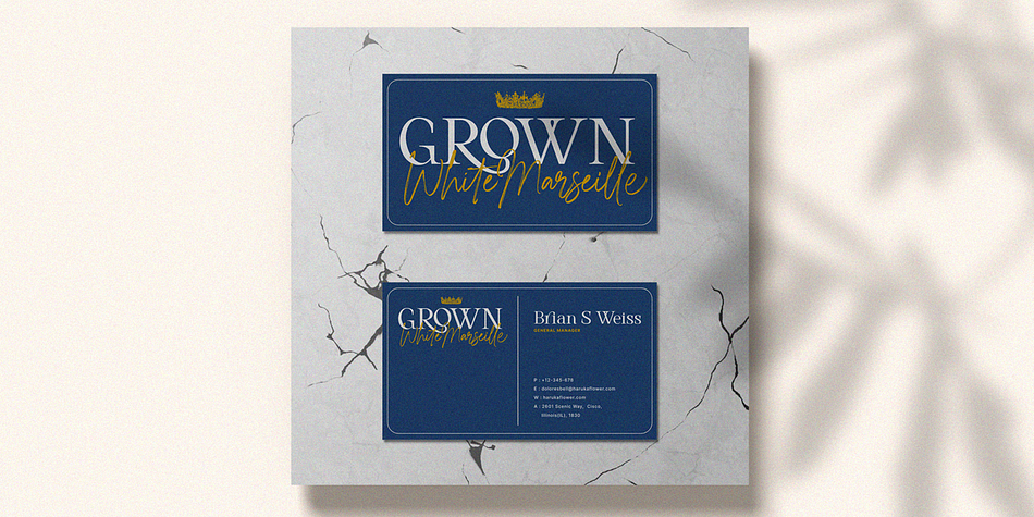 Modern Brush Style Font