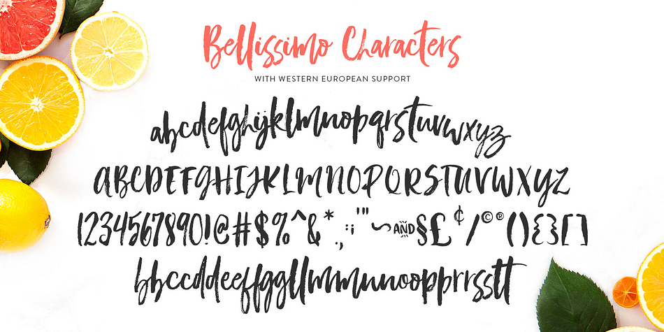 Bellissimo font family example.