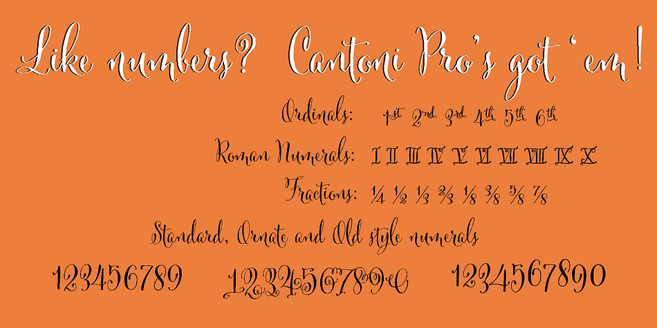 Cantoni is a seven font, dingbat, script and modern calligraphy family by Debi Sementelli Type Foundry.