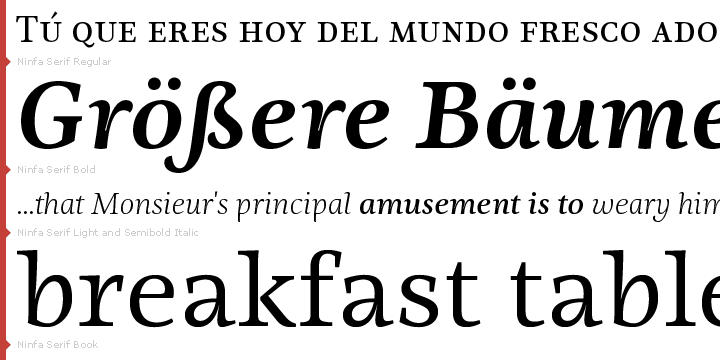 Displaying the beauty and characteristics of the Ninfa Serif font family.