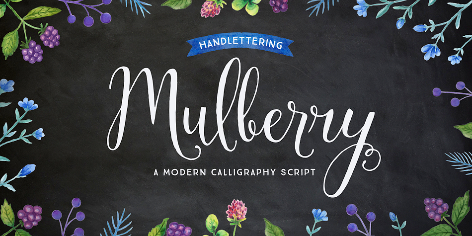 Mulberry is a beautiful handwritten calligraphy script that comes with lovely alternates, ligatures, extras and ornaments.