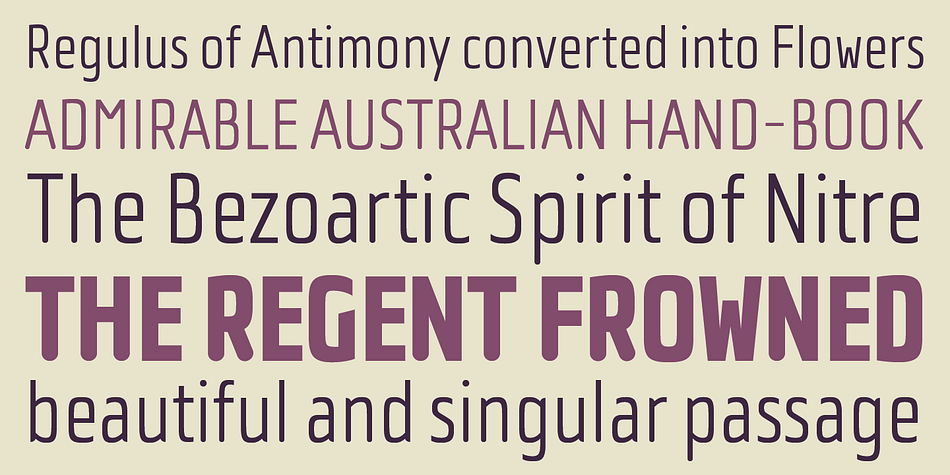 Contains 5 weights: Light, Regular, Bold, ExtraBold and Black, it fits perfect into any project, from editorial editions to packages, labels, posters.