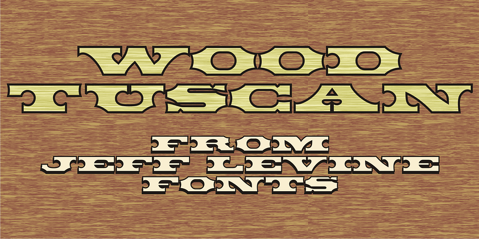 Wood Tuscan JNL is a bold, compressed serif font in the Tuscan style and was re-drawn from vintage wood type examples.