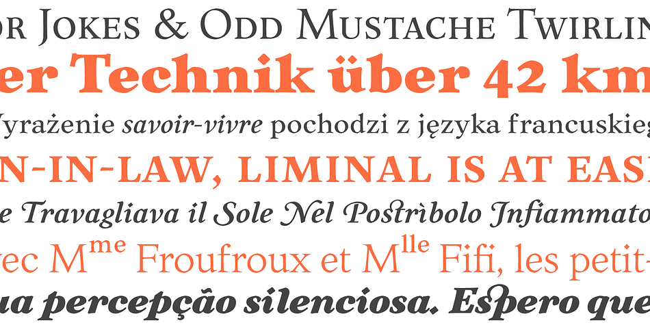 Displaying the beauty and characteristics of the Liminal font family.