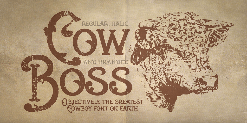 Displaying the beauty and characteristics of the Cowboss font family.