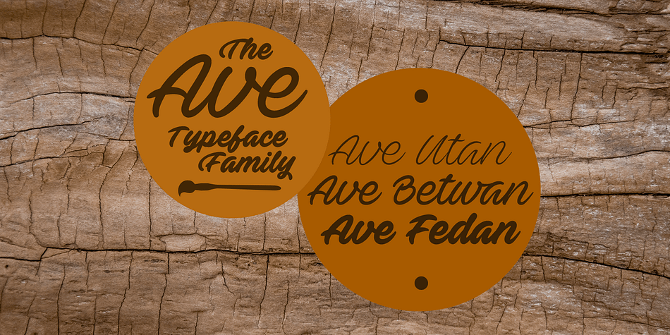 The Ave family is a soft, flowing script typeface.